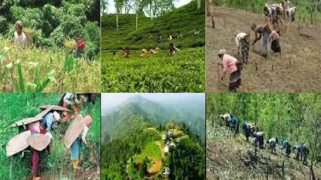 Welcome to everybody শিক্ষক পরিচিতি মোঃ আমজাদ - slide 15 of 19
