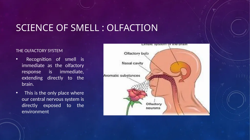 SENSORY EVALUATION ….. Basics of Sensory - slide 11 of 32