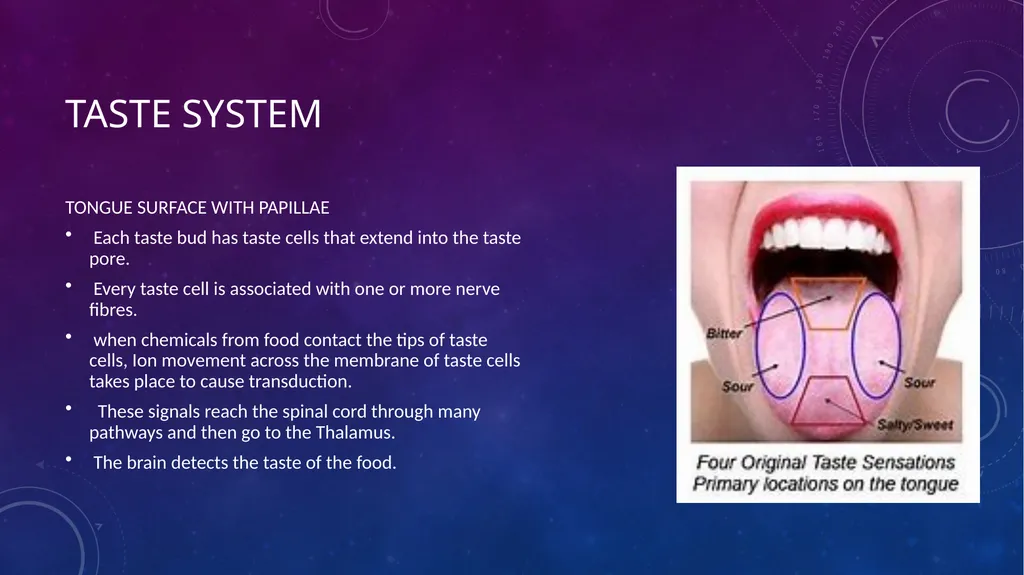 SENSORY EVALUATION ….. Basics of Sensory - slide 7 of 32