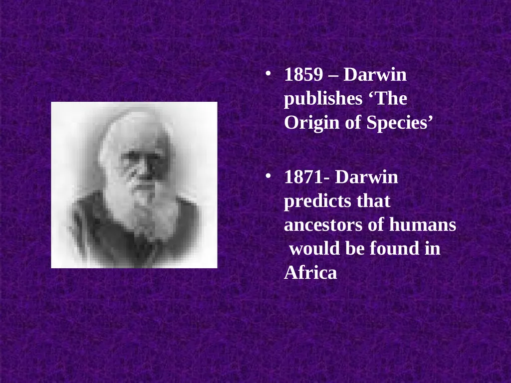 Human evolution Manish Kumar "Hominid" refers to - slide 5 of 18