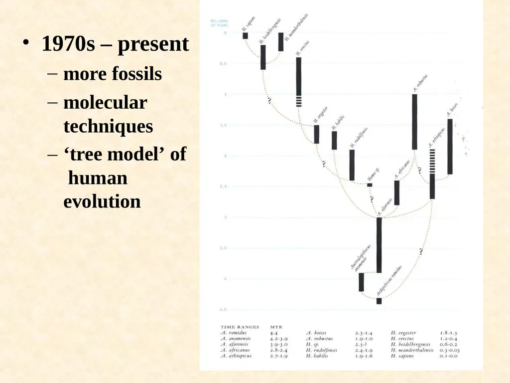 Human evolution Manish Kumar "Hominid" refers to - slide 7 of 18
