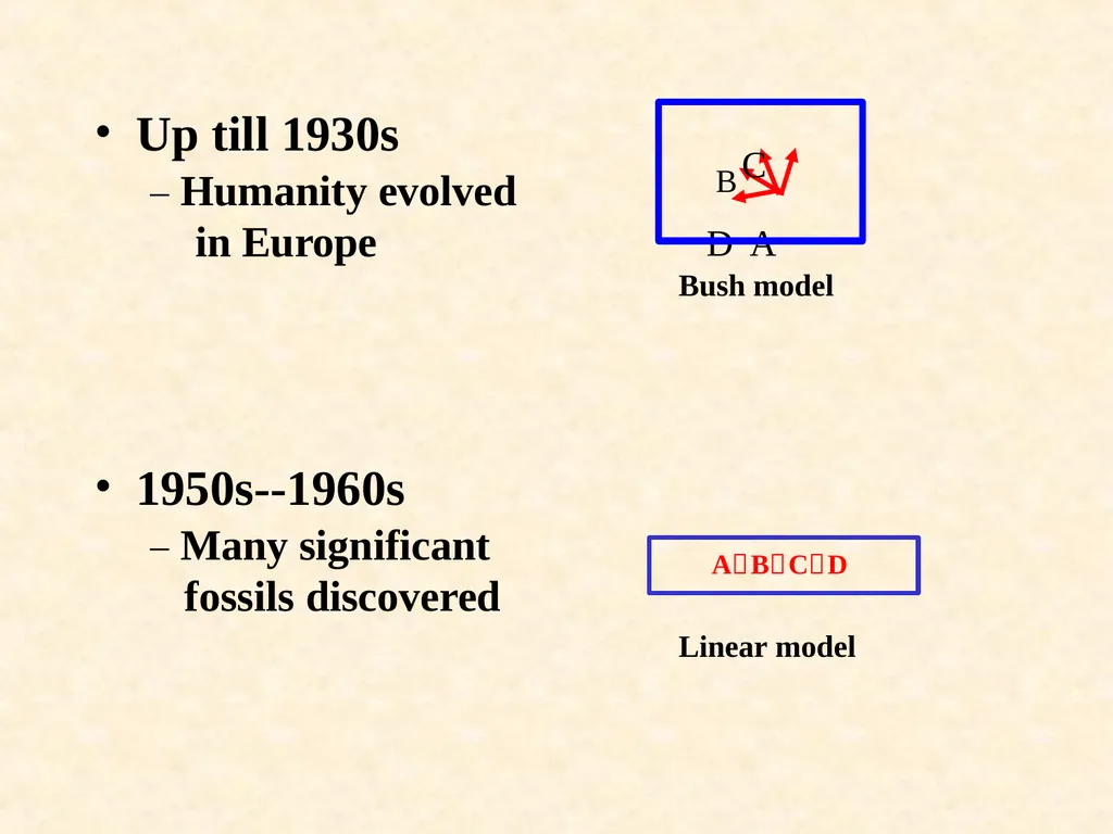 Human evolution Manish Kumar "Hominid" refers to - slide 6 of 18