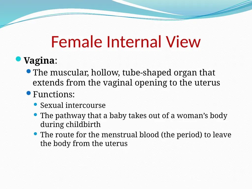 Human Reproductive Systems Human Reproductive - slide 5 of 16