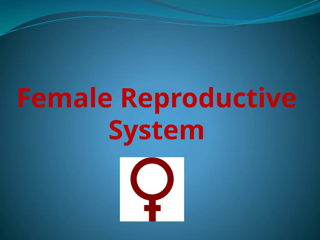 Human Reproductive Systems Human Reproductive - slide 3 of 16