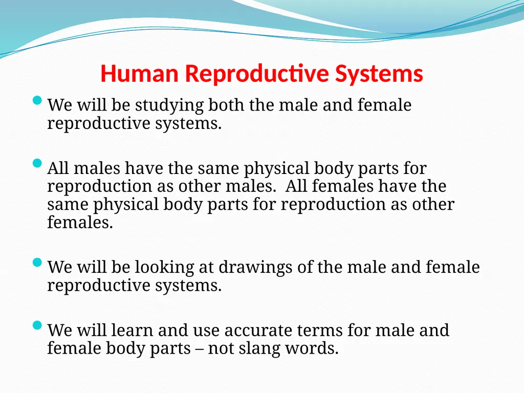 Human Reproductive Systems Human Reproductive - slide 2 of 16