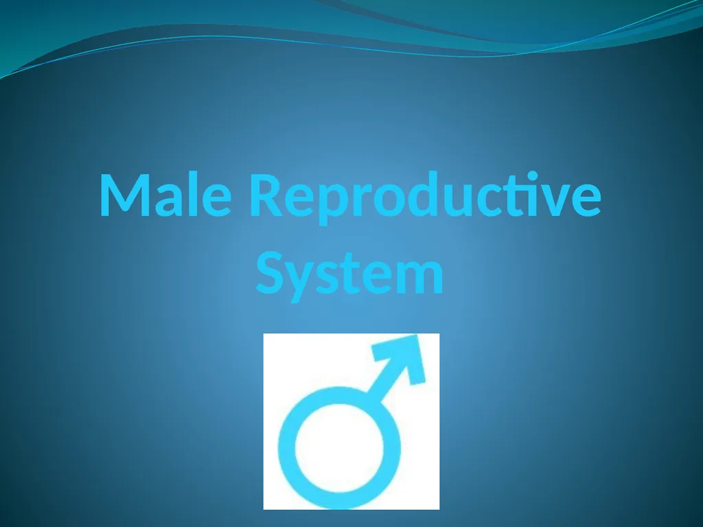 Human Reproductive Systems Human Reproductive - slide 10 of 16
