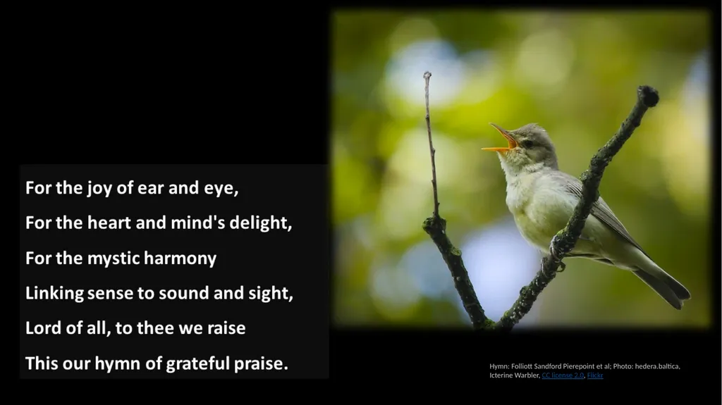 Hymn: Folliott Sandford Pierepoint et al; Photo: - slide 3 of 5