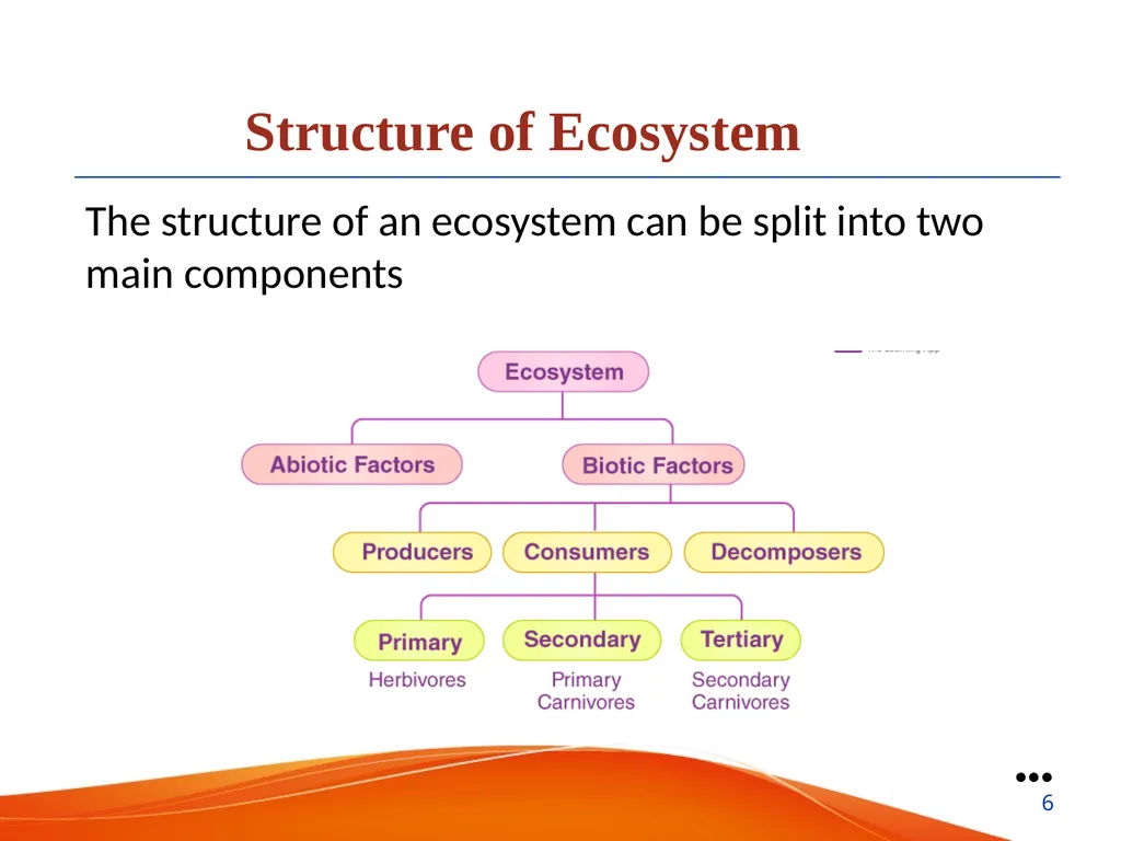 Ecosystem Presented by: Nabin Mandal State Aided - slide 6 of 22