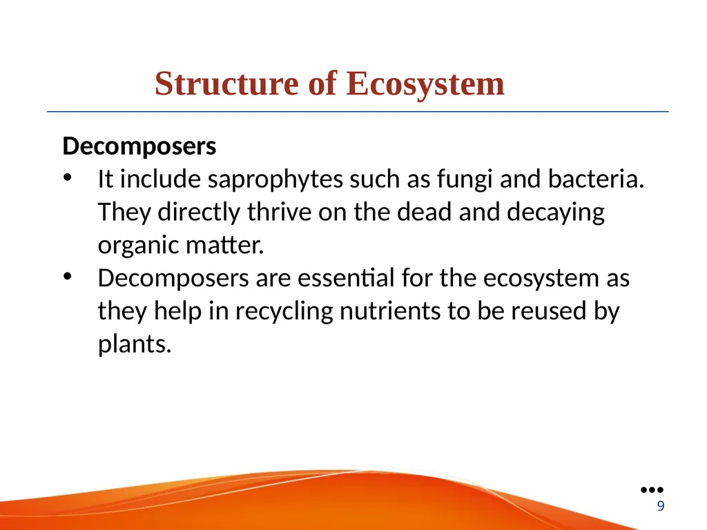 Ecosystem Presented by: Nabin Mandal State Aided - slide 9 of 22