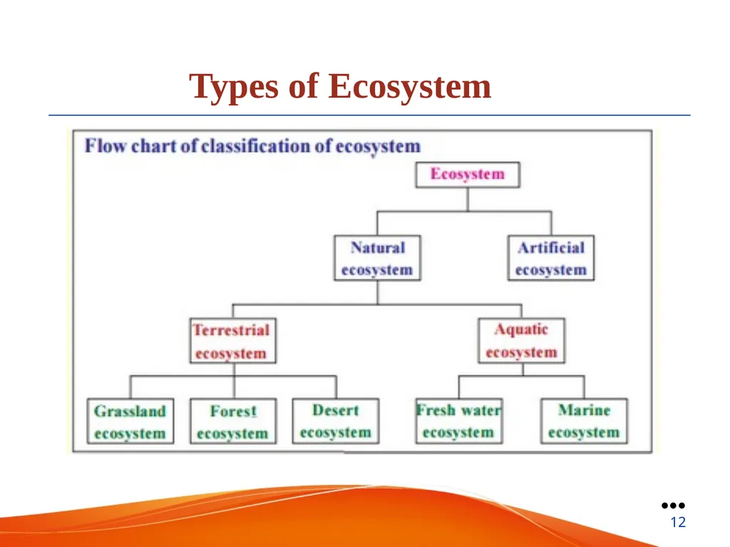 Ecosystem Presented by: Nabin Mandal State Aided - slide 12 of 22