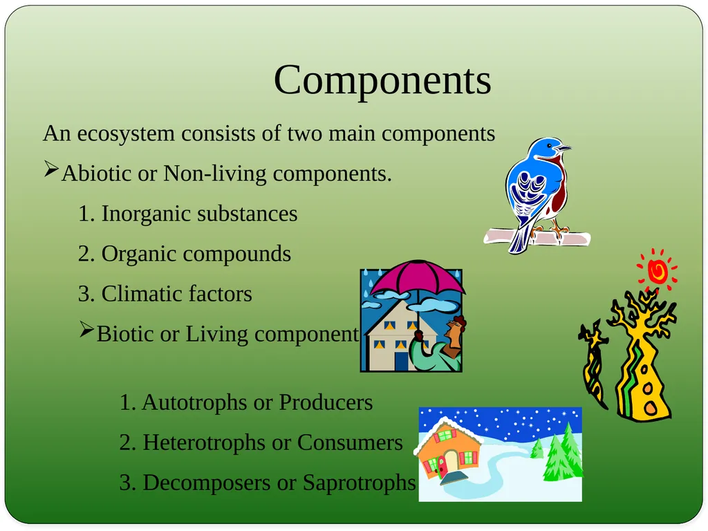 Types and Functions of Ecosystem Dr.K.Indhira - slide 6 of 13