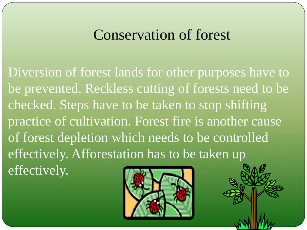 Types and Functions of Ecosystem Dr.K.Indhira - slide 10 of 13