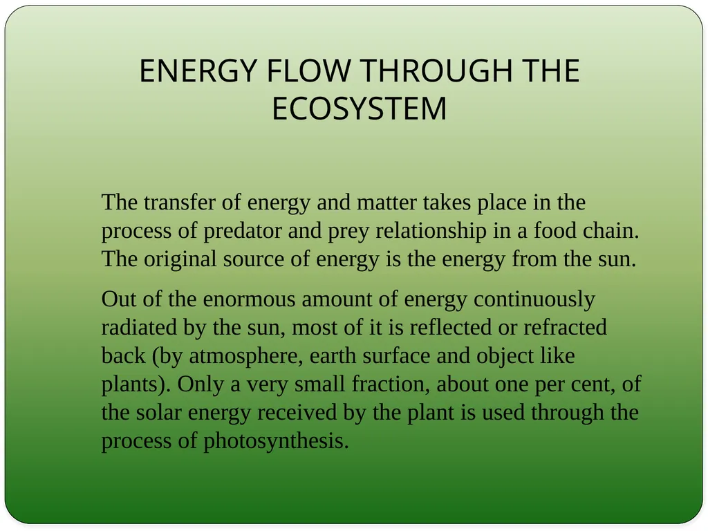 Types and Functions of Ecosystem Dr.K.Indhira - slide 9 of 13