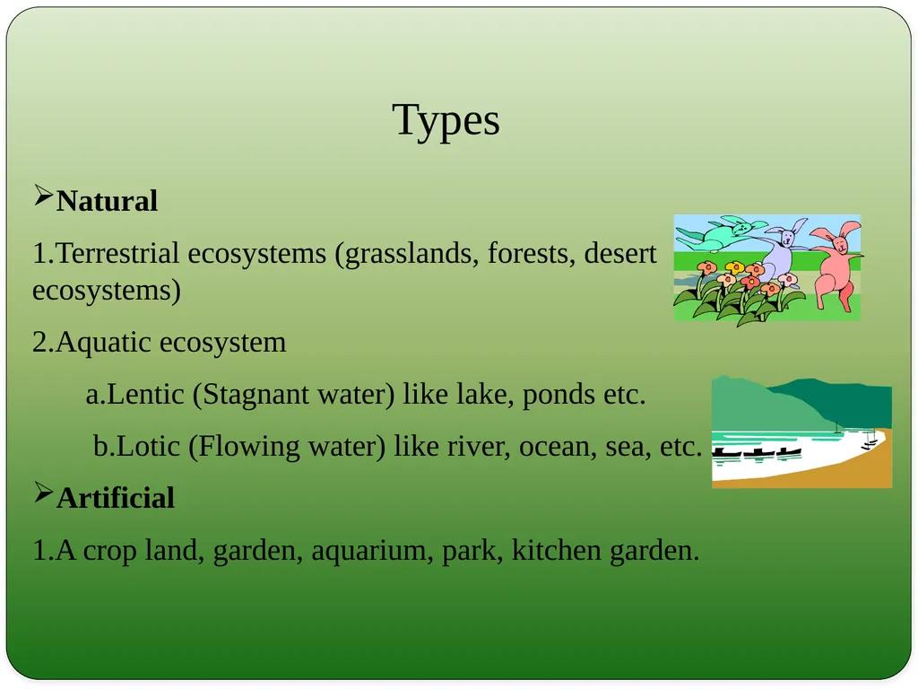 Types and Functions of Ecosystem Dr.K.Indhira - slide 5 of 13