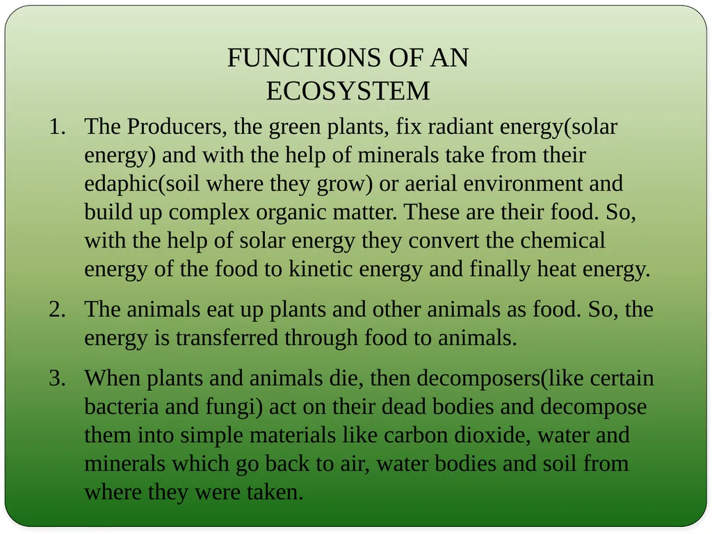 Types and Functions of Ecosystem Dr.K.Indhira - slide 7 of 13
