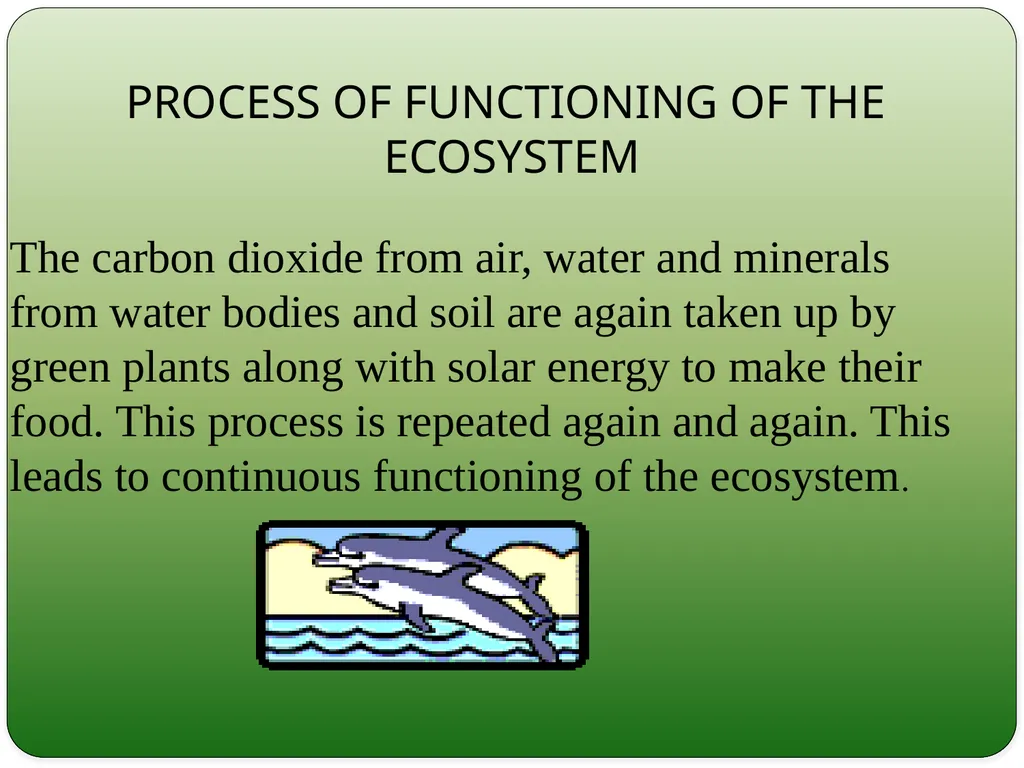 Types and Functions of Ecosystem Dr.K.Indhira - slide 8 of 13