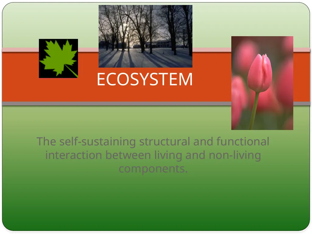 Types and Functions of Ecosystem Dr.K.Indhira - slide 3 of 13