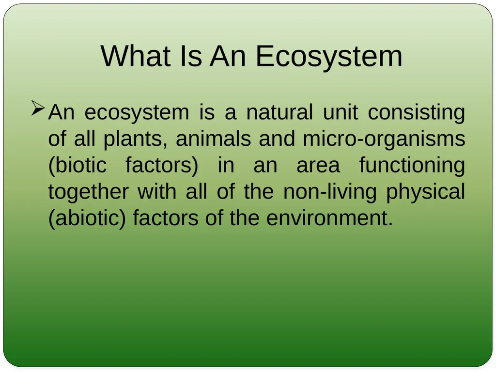 Types and Functions of Ecosystem Dr.K.Indhira - slide 4 of 13