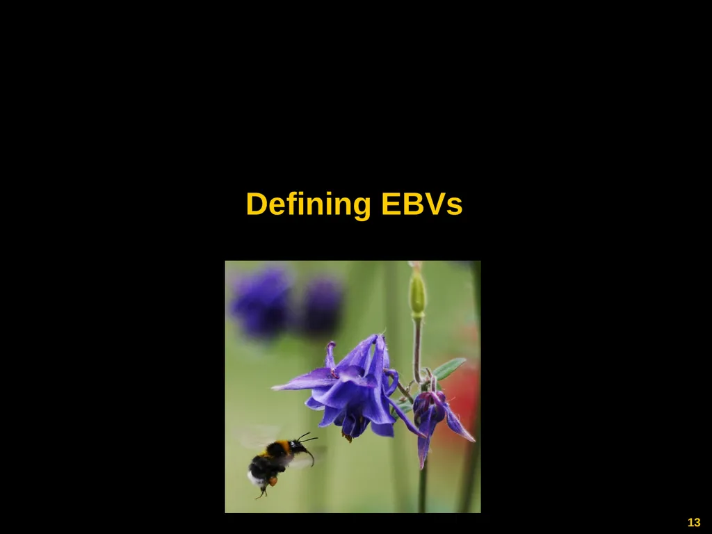 Gary GELLER NASA Ecological Forecasting Program - slide 13 of 17
