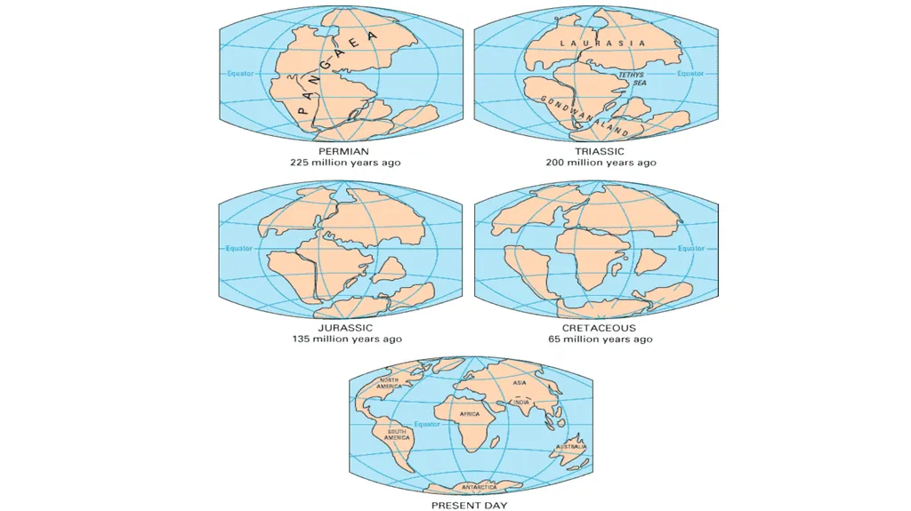 Continental Drift Theory When the tectonic plates - slide 2 of 11