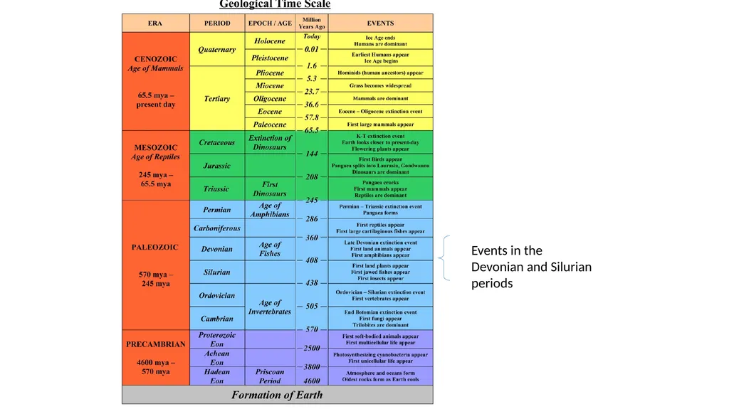 A history of earth The Geological time scales How - slide 7 of 12
