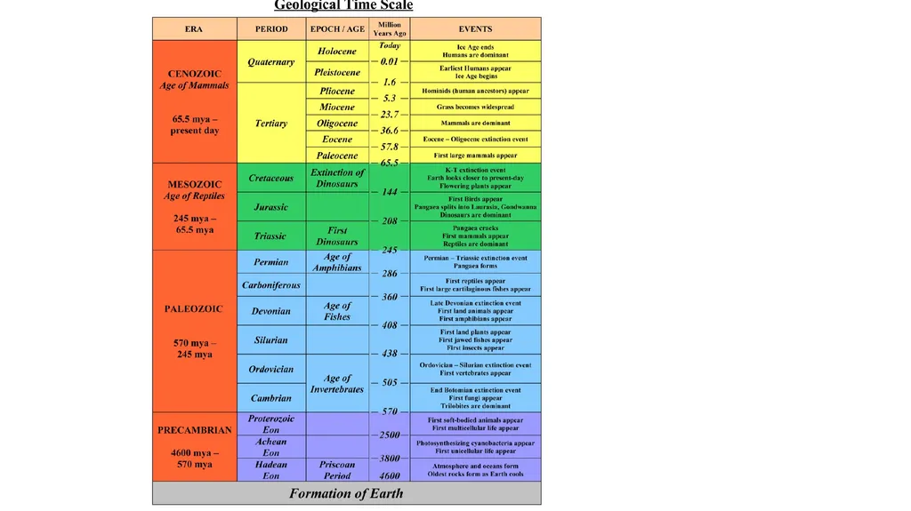 A history of earth The Geological time scales How - slide 3 of 12