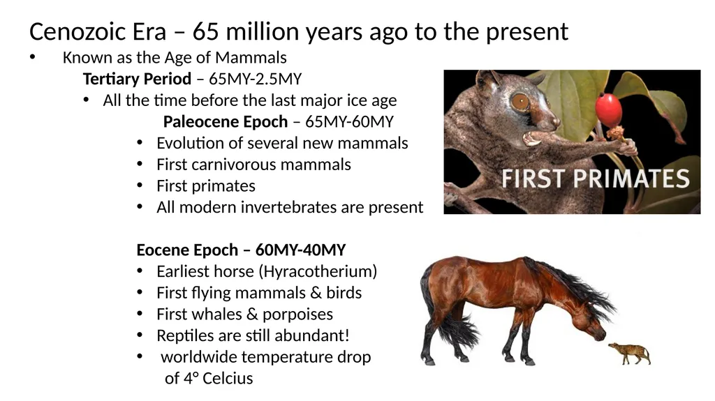 The Evolution of Plants and Animals Through - slide 7 of 10