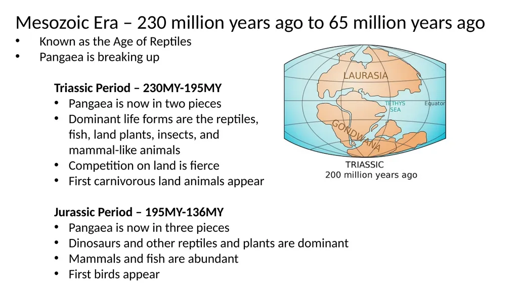 The Evolution of Plants and Animals Through - slide 5 of 10