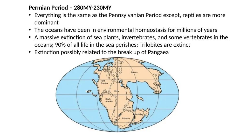 The Evolution of Plants and Animals Through - slide 4 of 10