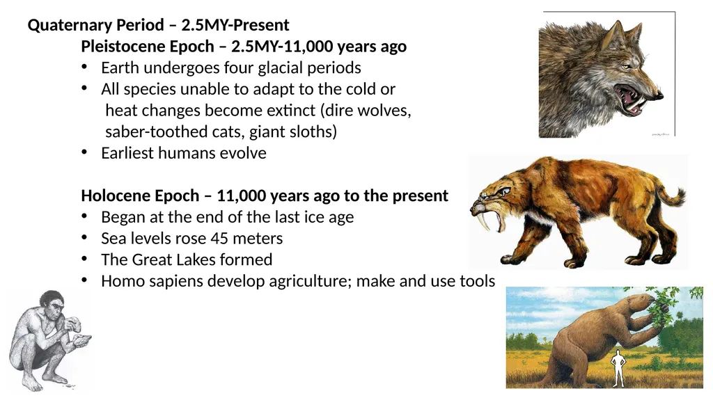The Evolution of Plants and Animals Through - slide 9 of 10