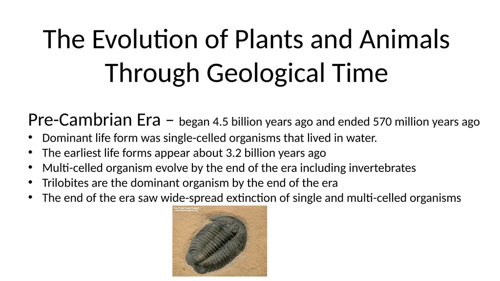 The Evolution of Plants and Animals Through