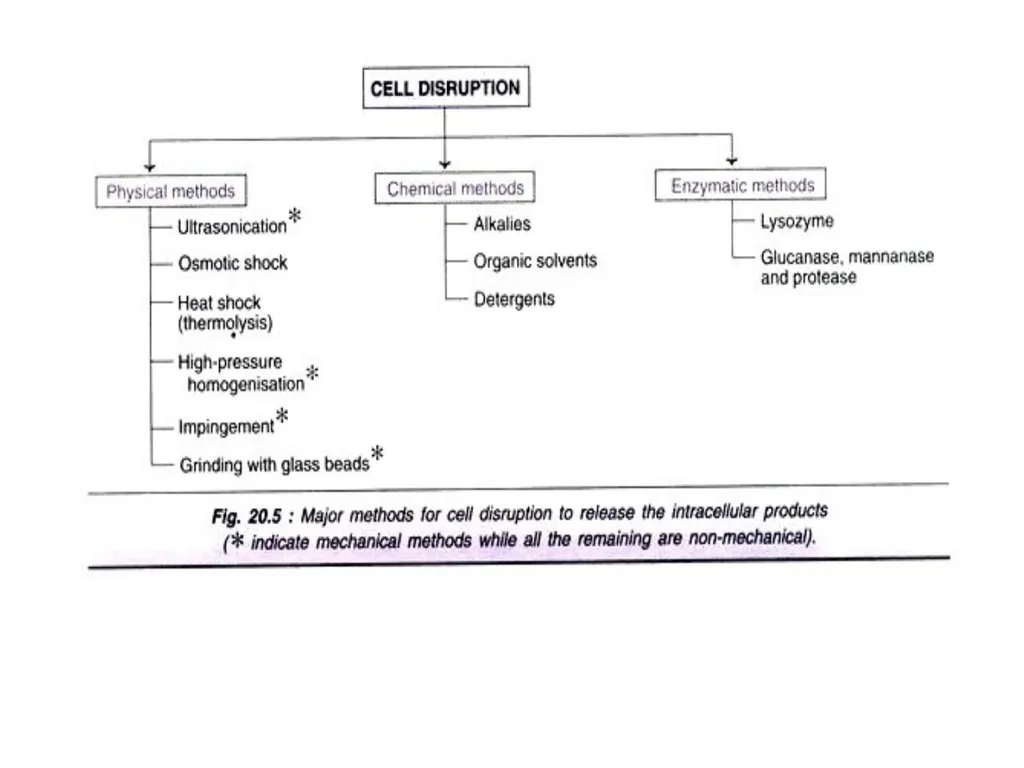 Downstream Recovery The five stages are: - slide 12 of 33
