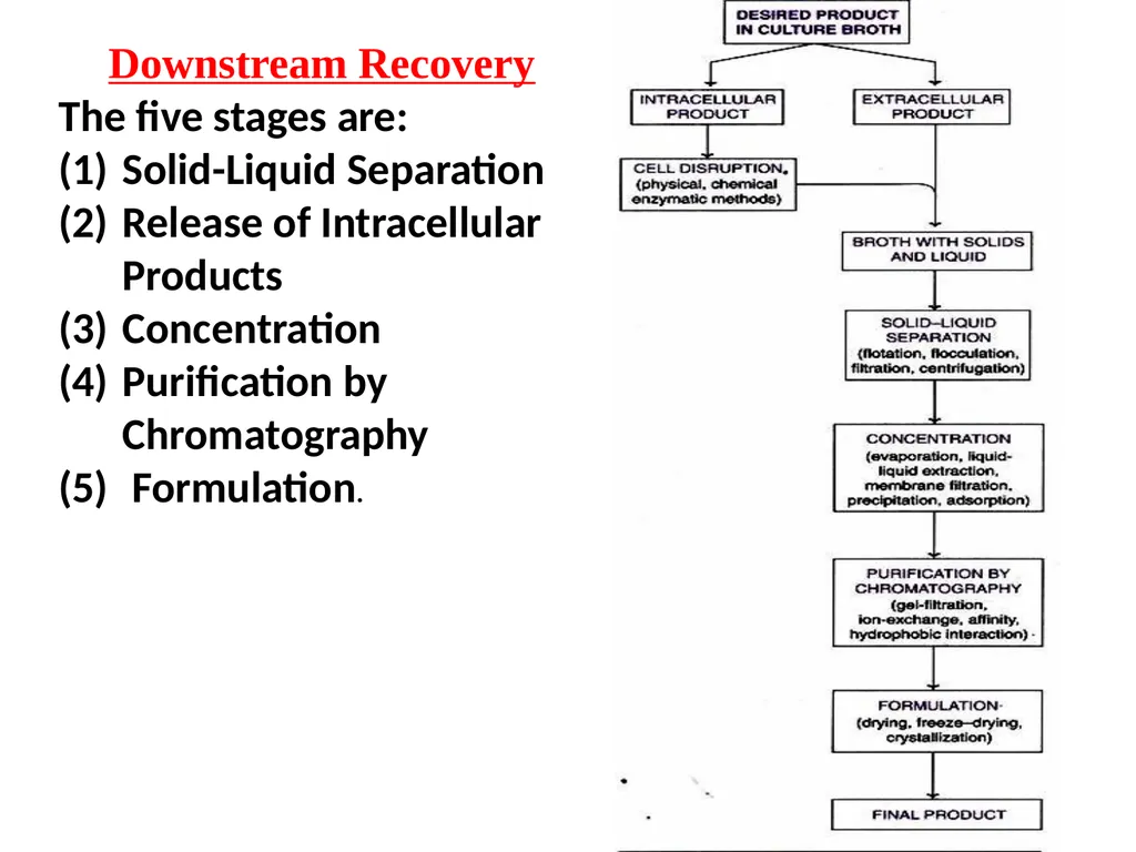 Downstream Recovery The five stages are:
