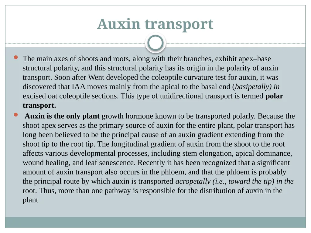 Plant Physiology Presented By Garima Yadav - slide 8 of 13