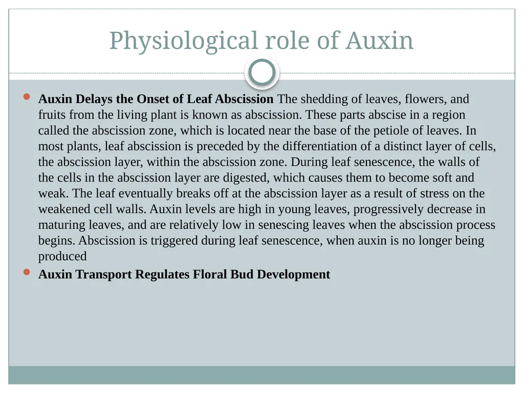Plant Physiology Presented By Garima Yadav - slide 10 of 13