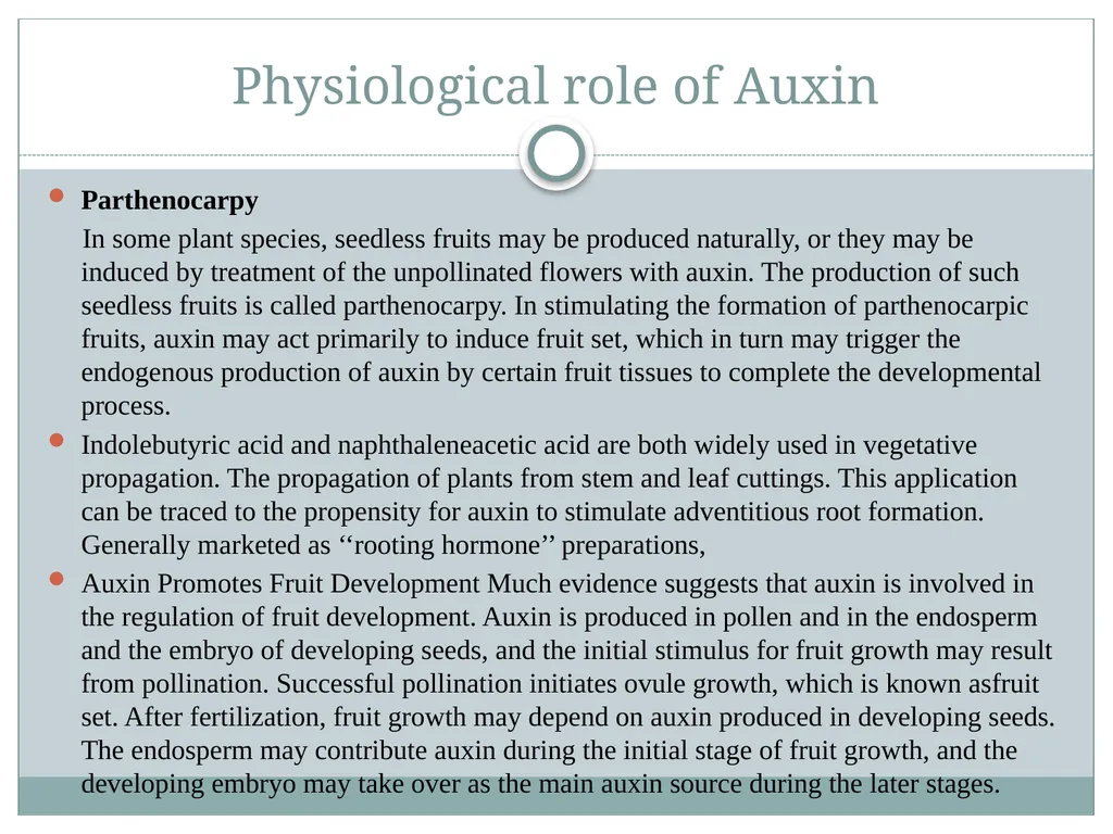 Plant Physiology Presented By Garima Yadav - slide 11 of 13