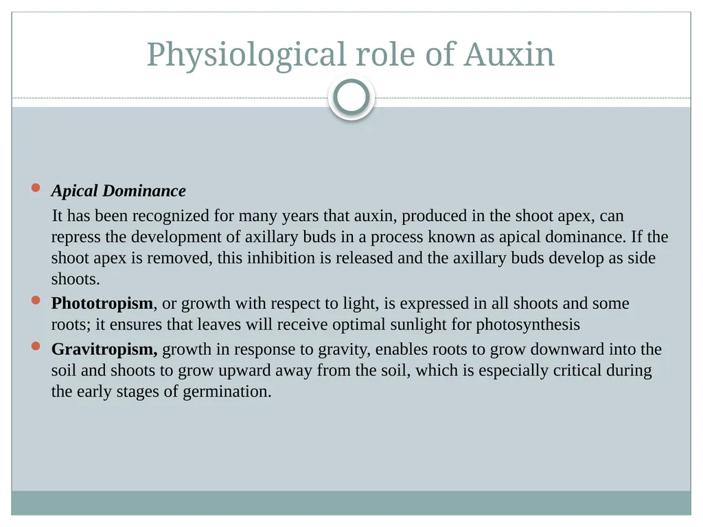 Plant Physiology Presented By Garima Yadav - slide 9 of 13