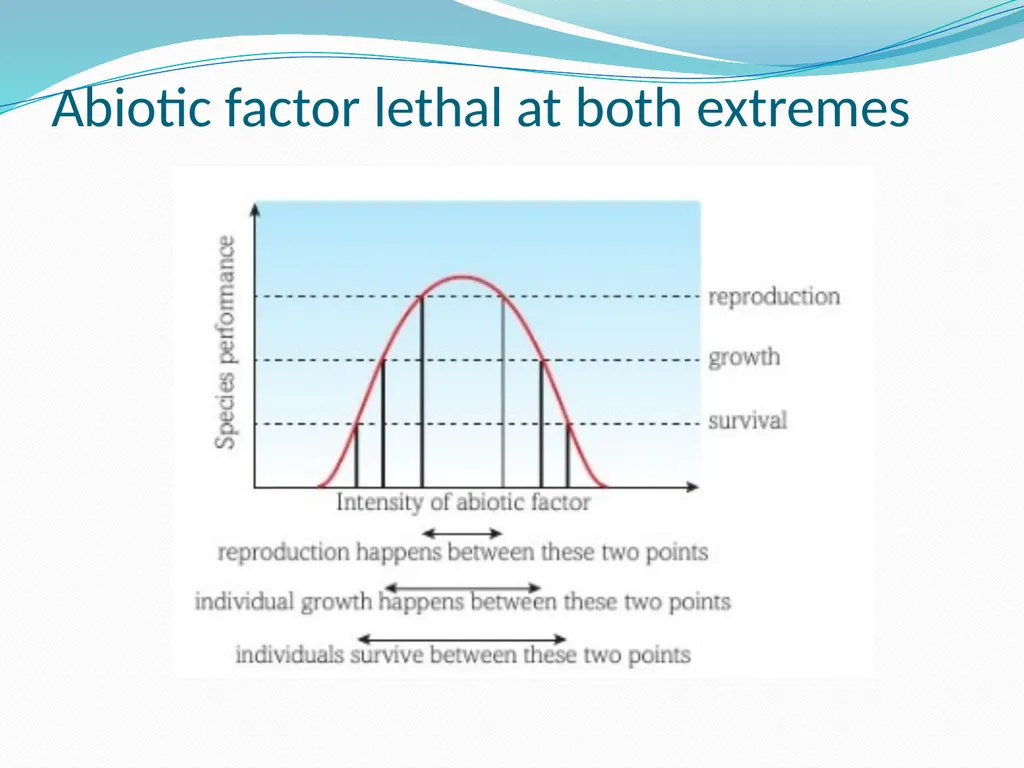 Ecosystems Starter: Key definitions Decomposer - slide 10 of 16
