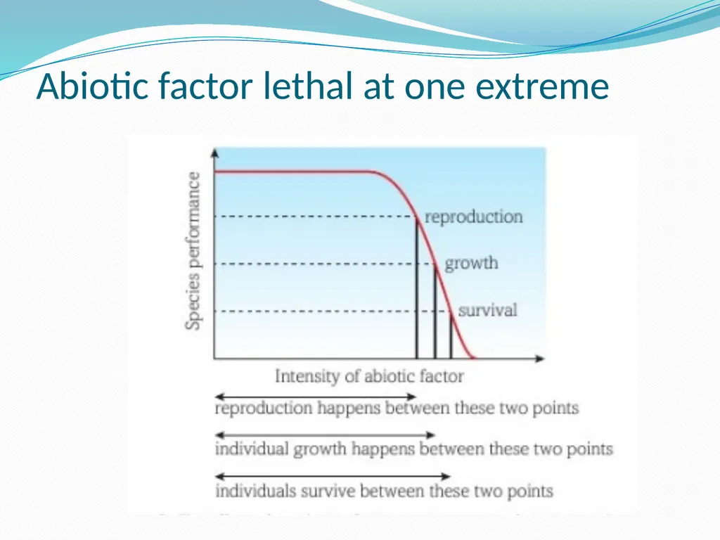 Ecosystems Starter: Key definitions Decomposer - slide 11 of 16