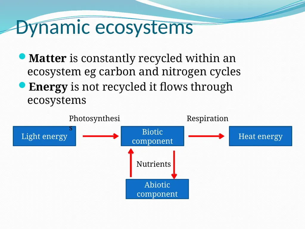 Ecosystems Starter: Key definitions Decomposer - slide 13 of 16