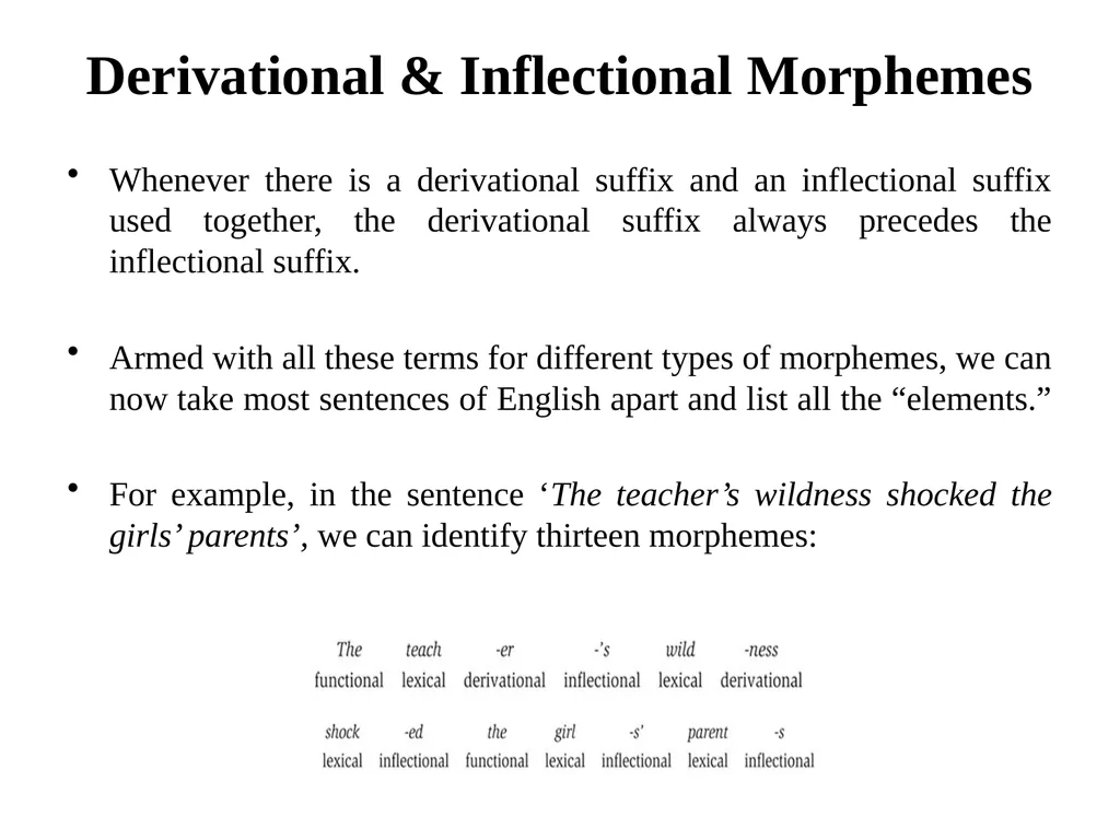 Chapter Six Morphology Overview Defining - slide 12 of 17