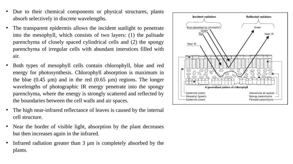 Advanced Agro-Hydro- Meteorology A MSc course for - slide 19 of 20