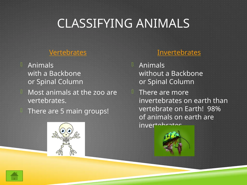 Classifying Animals Vertebrates Invertebrates - slide 1 of 9
