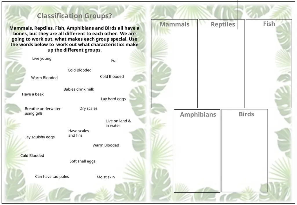 Animal Detectives Pre Activity Name ……………...……. - slide 3 of 4