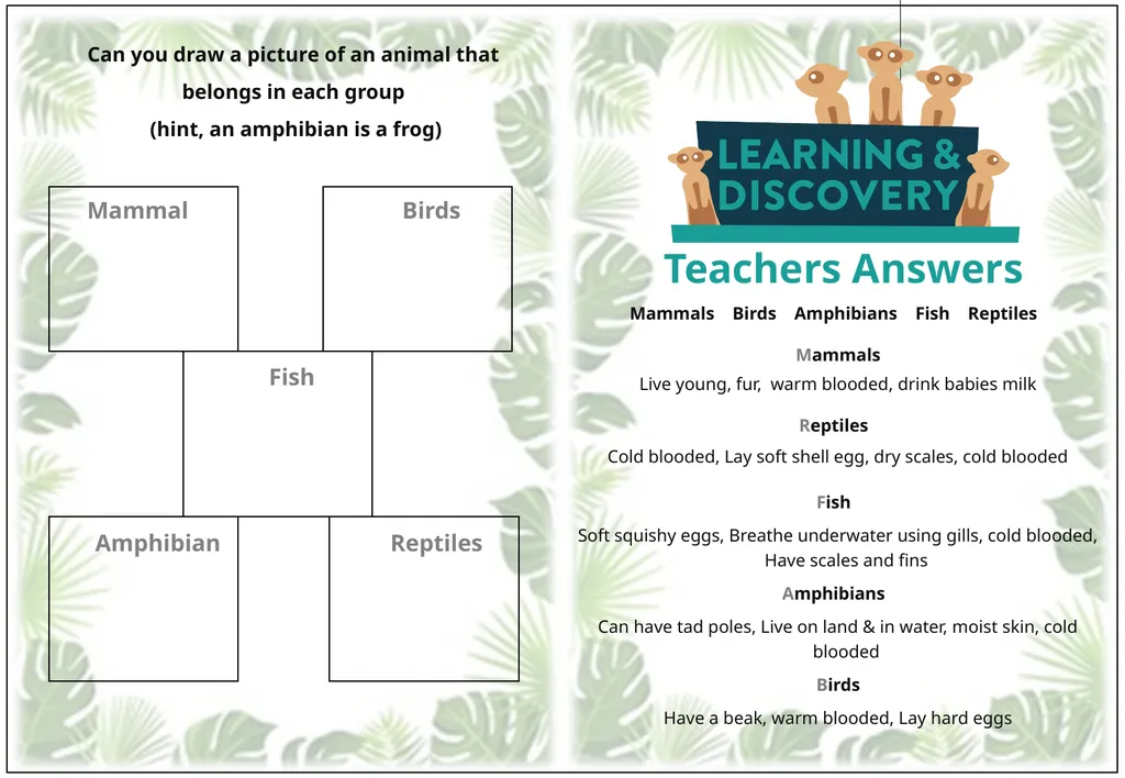 Animal Detectives Pre Activity Name ……………...……. - slide 4 of 4