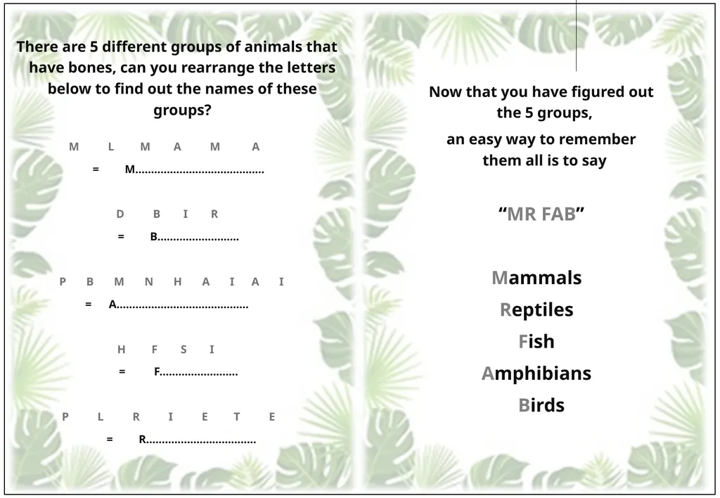 Animal Detectives Pre Activity Name ……………...……. - slide 2 of 4