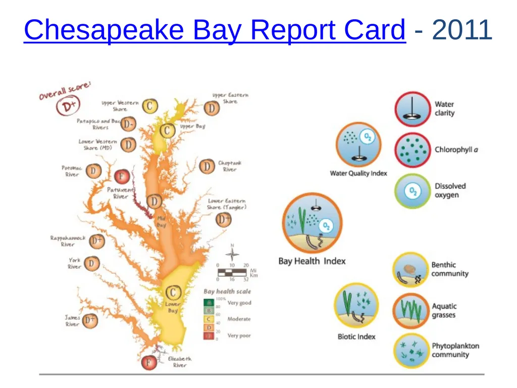 The Chesapeake Bay: A Socio-Environmental - slide 12 of 22
