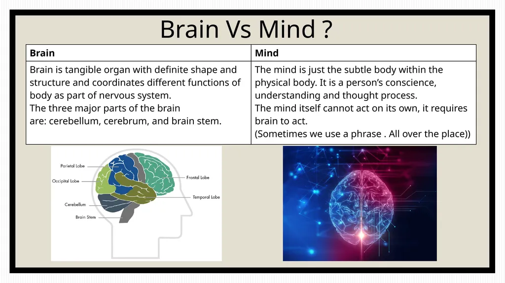 Mind management By CA Aakriti Kohli Brain Vs Mind - slide 2 of 12