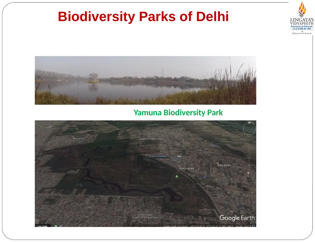 Pallavi Tiwari Assistant Professor PUBLIC - slide 3 of 10