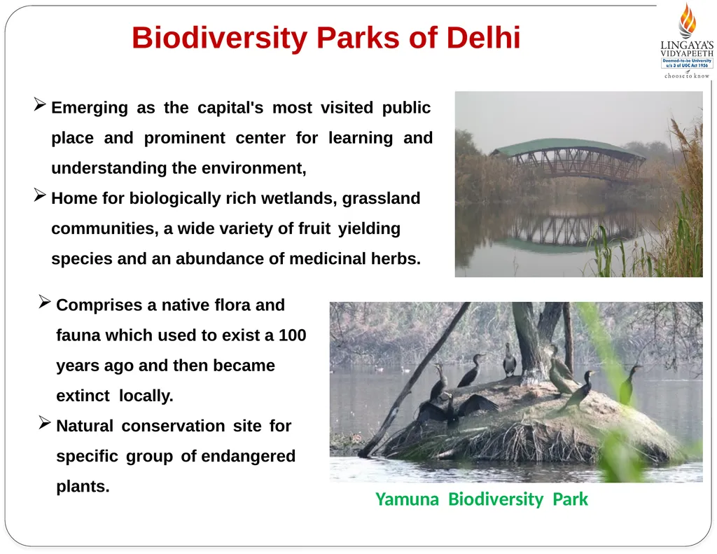 Pallavi Tiwari Assistant Professor PUBLIC - slide 4 of 10